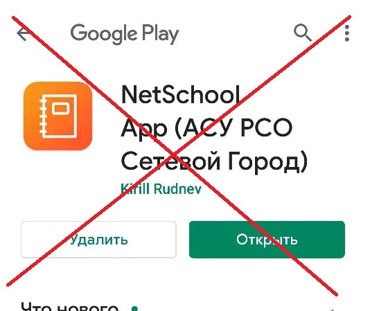 Нетскул школа Кусто. Школа Кусто электронный дневник нетскул. Нетскул приложение.
